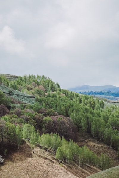 高山鸟瞰图